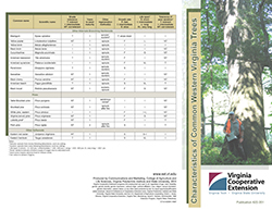 Cover, Characteristics of Common Western Virginia Trees