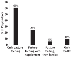 Figure 17.