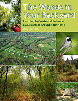 JPG- The Woods in Your Back Yard