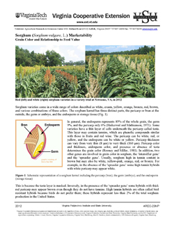 Cover, Sorghum (Sorghum vulgare, L.) Marketability Grain Color and Relationship to Feed Value JPG