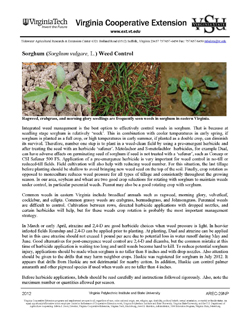 Cover, Sorghum (Sorghum vulgare, L.) Weed Control JPG