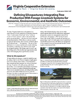 JPG-Defining Silvopastures: Integrating Tree Production With Forage-Livestock Systems for Economic, Environmental, and Aesthetic Outcomes