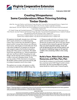 JPG-Creating Silvopastures: Some Considerations When Thinning Existing Timber Stands