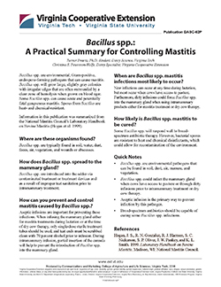 JPG, Bacillus spp.: A Practical Summary for Controlling Mastitis