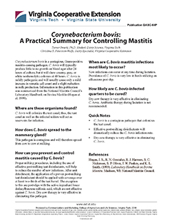 JPG, Corynebacterium bovis: A Practical Summary for Controlling Mastitis