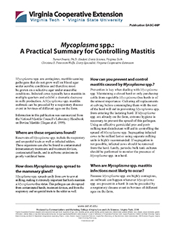 JPG,Mycoplasma spp.: A Practical Summary for Controlling Mastitis