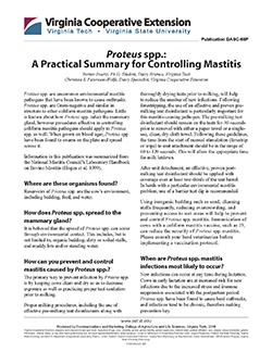JPG,Proteus spp.: A Practical Summary for Controlling Mastitis