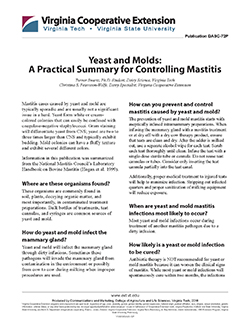 JPG,Yeast and Molds: A Practical Summary for Controlling Mastitis