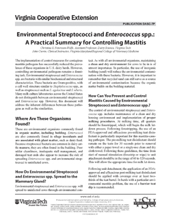 Environmental Streptococci and Enterococcus spp.: A Practical Summary for Controlling Mastitis jpg