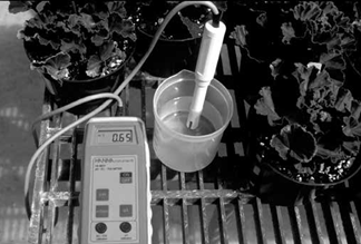 A black and white photograph of a meter placed in a container of solutuion and surrounded by potted plants. 