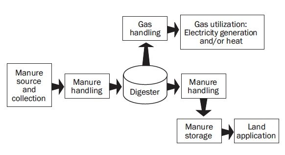 Diagram showing basic material flow in an anaerobic digestion system.
