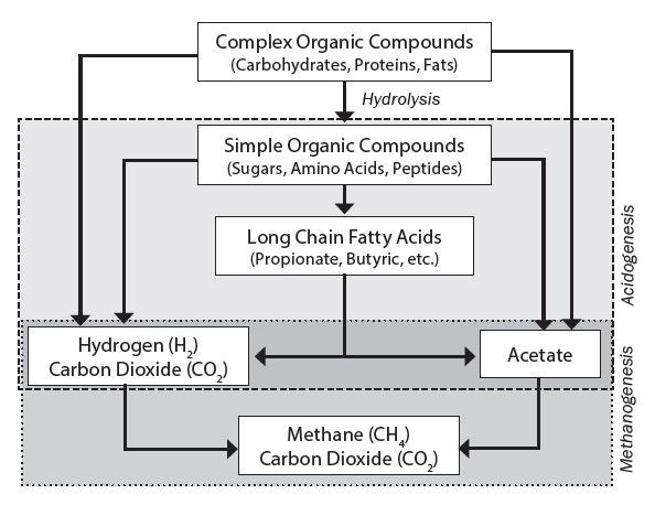 diagram showing the process of the breakdown of organic materials to produce biogas.