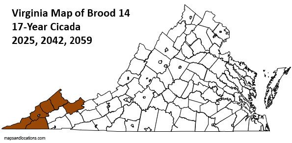 Figure 6, A map of Virginia highlighting the expected emergence of Brood 14 periodical cicadas in southwestern Virginia in 2025, 2042, and 2059.