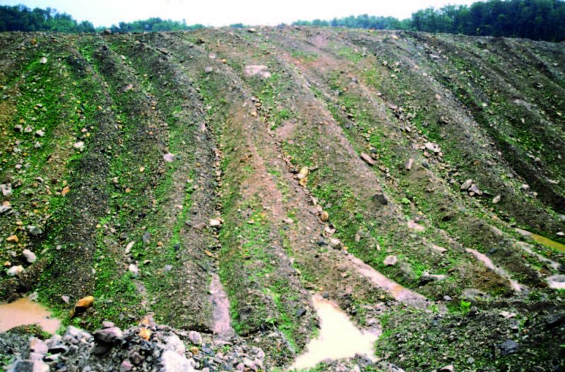 Figure 9. Example of uncompacted, roughly graded surface ideal for tree planting.