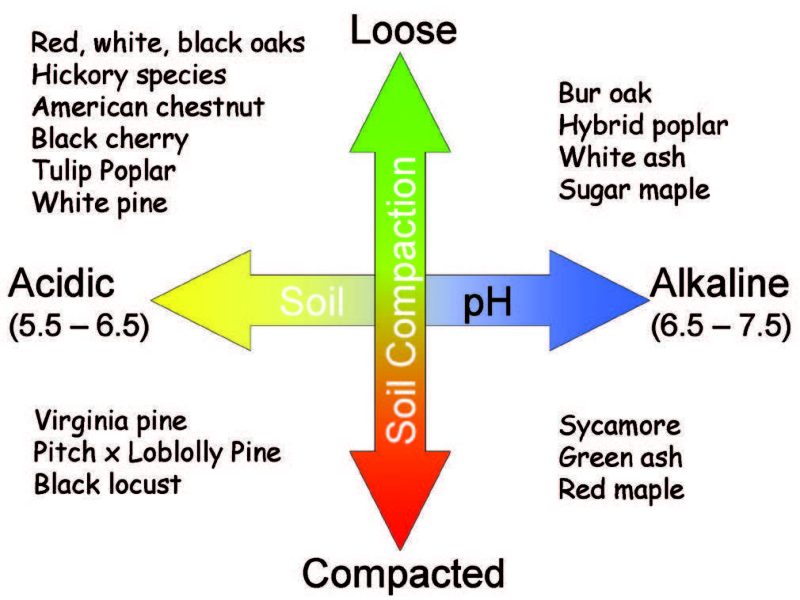 Figure 13. Tree species recommended for different spoil types and levels of compaction.