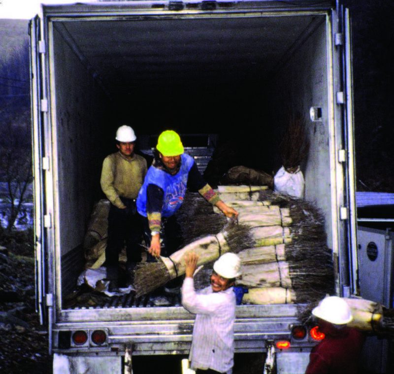  Several men wearing hard hats unloading seedling bundles from the back of a box truck.