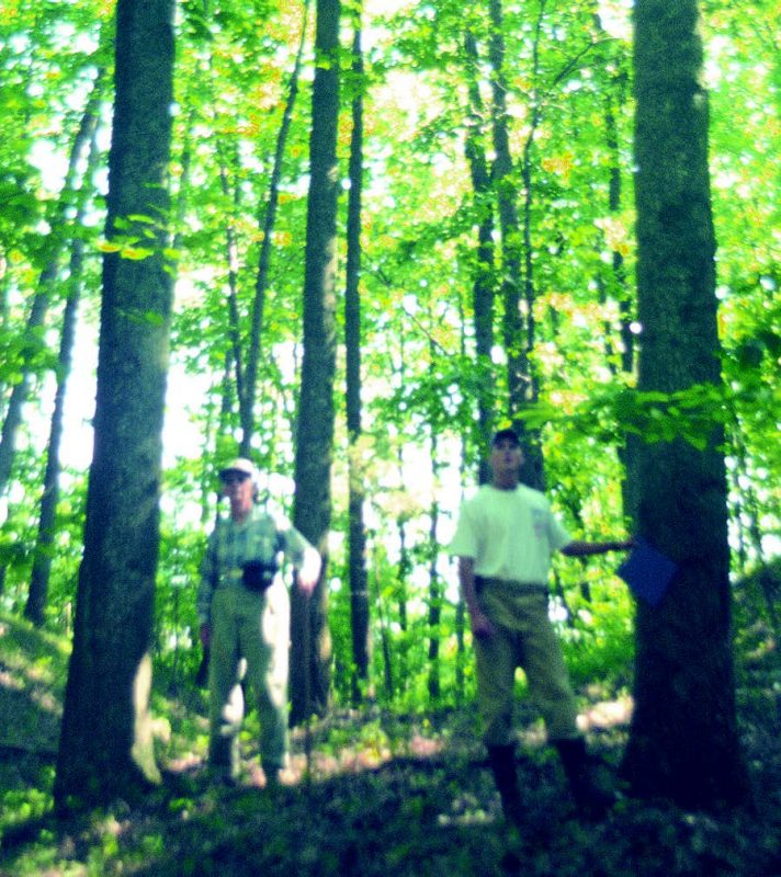 Figure 1. A 50-year-old hardwood forest on mined land.