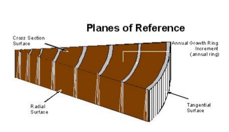 image of the three reference planes of wood.