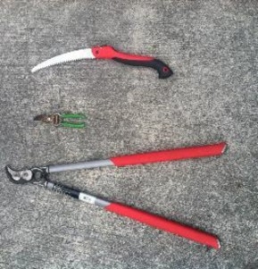 Tools commonly used for pruning. Picture shows Saw, hand shears, and lopping shears