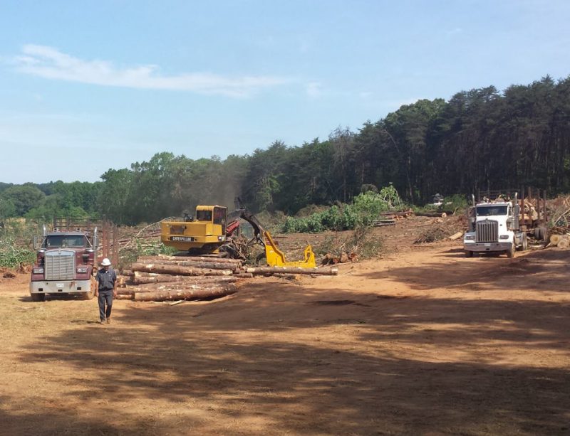 Logging operation with trucks and equipment in Virginia's Piedmont