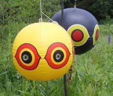 An eye-spot balloon deployed as a deterrent to ward off foraging birds.