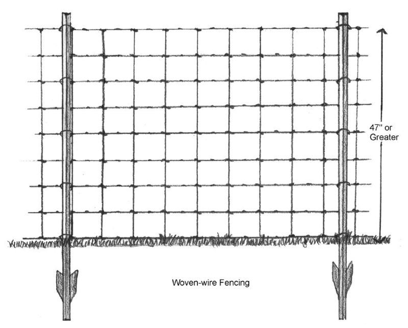 A section of woven-wire fence strung across two t-posts with the drawing indicating that the bottom of the fence should be at ground level and its height should be 47 inches high or greater.
