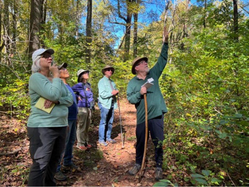 An instructor holding a walking stick stands on a forest trail with four participants and points up to something of interest.