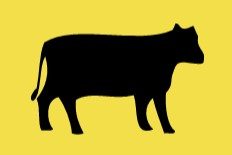 Cow sketch