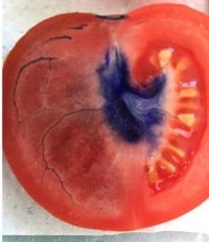 Photo capturing blue core of a tomato.