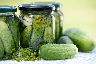 Closeup of cucumbers and herbs, both inside and out of canning jars.