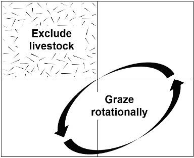 A text box divided into four quadrants, "exclude livestock" is top left, and bottom right says "graze rotationally with the words placed inside two curved arrows in counter clockwise direction and runs into other two squares.
