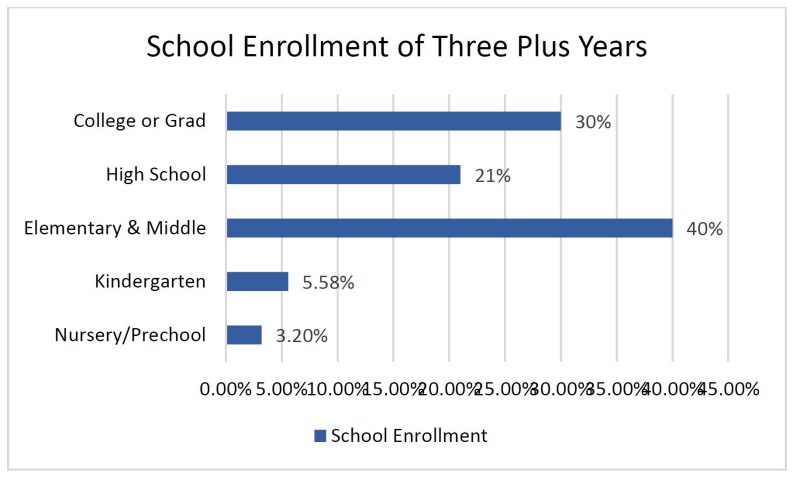 School Enrollment of Three Plus Years