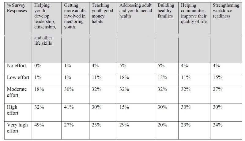 table of Selected Family and Youth High Priority Issues as Determined by Survey Responses on VCE Programming Effort