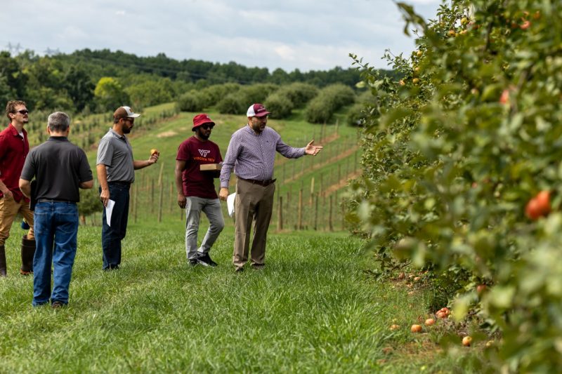 A man gestures at apple trees in an orchard.