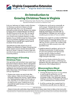 Cover, Growing Christmas Trees in Virginia