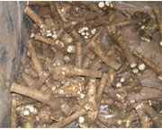figure2.jpg