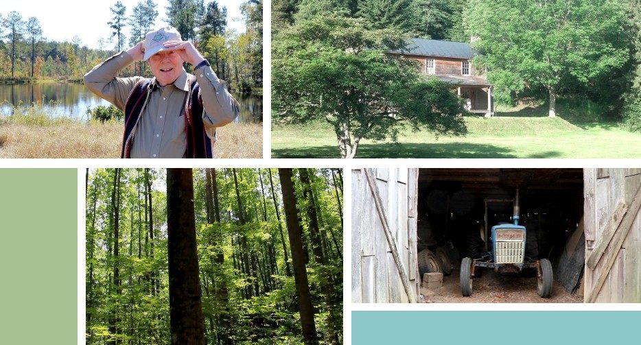 Former Corvallis City Forester Joins Statewide OSU Urban Forestry Effort – The Corvallis Advocate