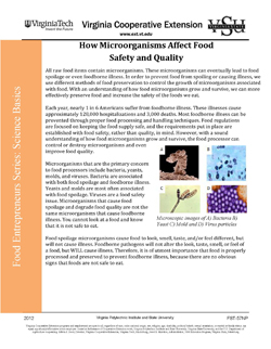 Cover, How Microorganisms Affect Food Safety and Quality JPG