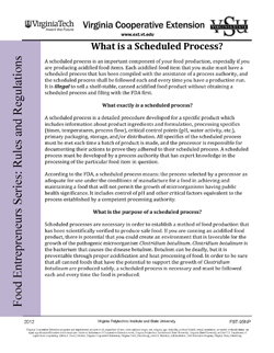 Cover, What is a Scheduled Process? JPG