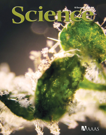 Image Cover