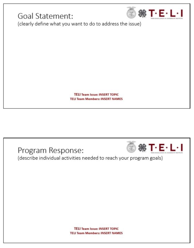 TELI Group Project PowerPoint Outline 2