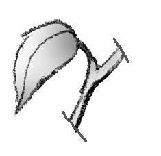 Illustration of cutting for single eye