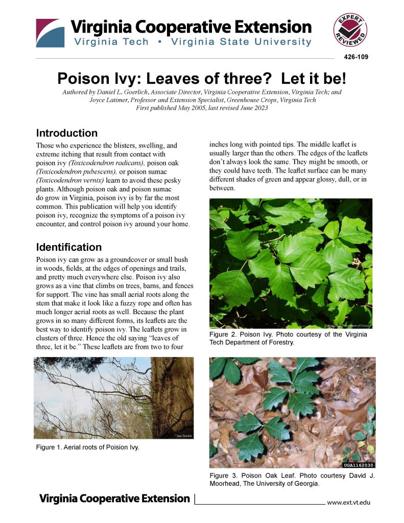 Poison Ivy: Leaves of three? Let it be! | VCE Publications | Virginia Tech
