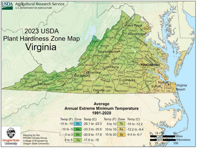 A map of Virginia is color coded by the average annual extreme minimum temperatures from 1991 to 2020. Temperatures range from Zone 5b (-15 F to -10 F), which is colored blue, to Zone 8b (15 F to 20 F), which is a gold color.