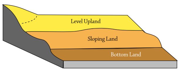 Illustration shows 3 different levels of landscape positions. From the top, yellow layer represents Level Upland. Orange layer representing Sloping Land. Brown layer represents Bottom Land.