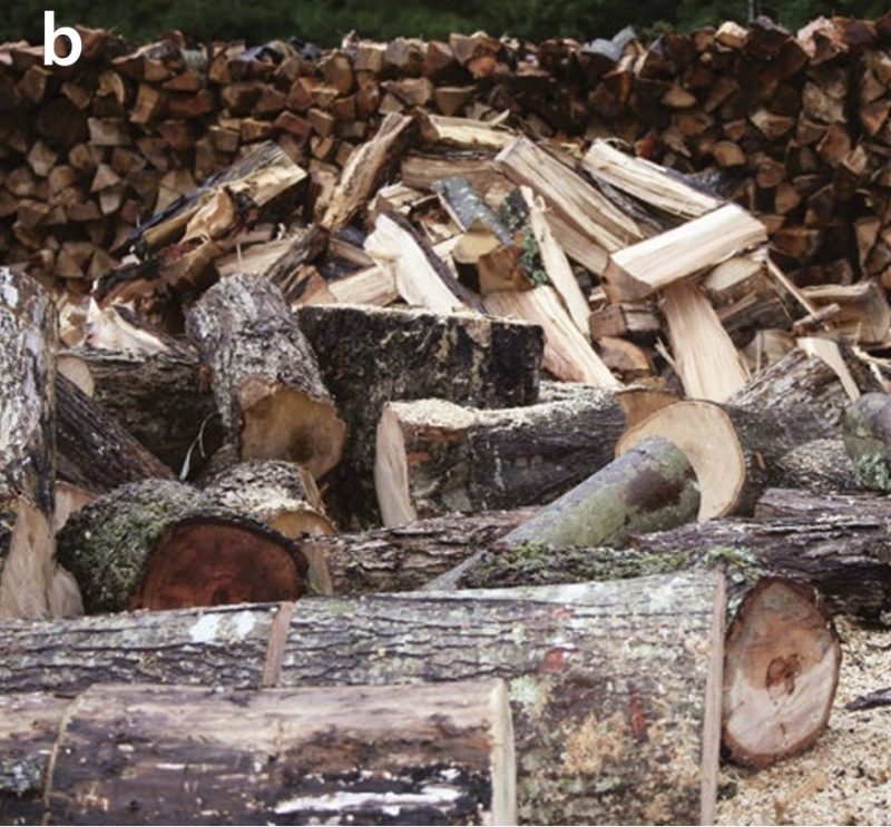 firewood in large amount