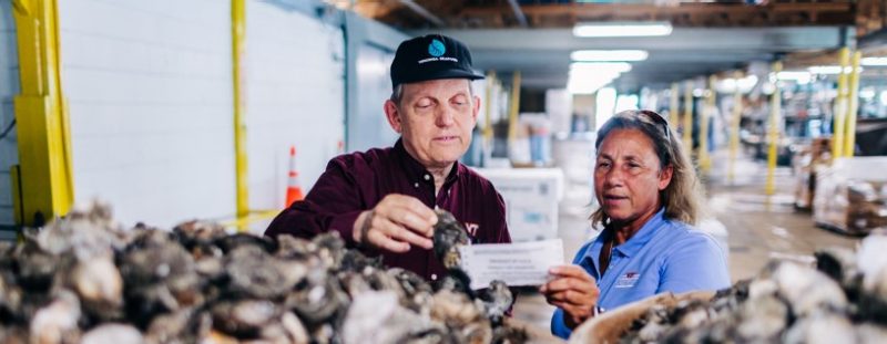 VSAREC extension specialists work with and provide technical guidance to stakeholders in every level of the seafood supply chain.