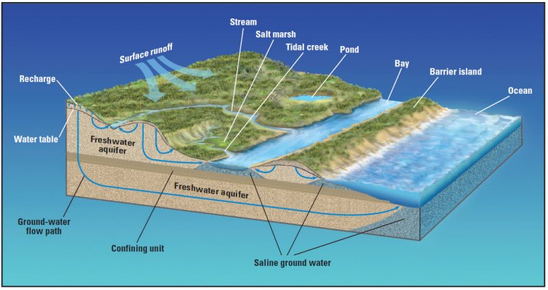 A cross-section of land with a topographic surface depicting blue water and greenery and the way the water will flow.