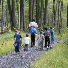 photo of children and an adult walking into the woods