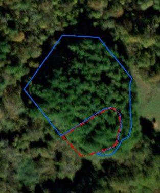 Aerial photo of Eastern White Pine Stand depicting a large green area with trees, a blue outlined polygon shape, and a smaller red oval shape inside and about one quarter of the polygon.